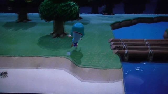 Tarantula Chase - Animal Crossing New Horizons смотреть онлайн