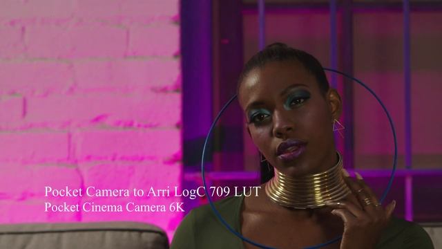 RED and Arri LUTs for the Canon C200, Pocket Cinema Camera 4K & 6K смотреть онлайн