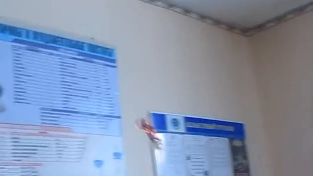 Летучий дымоход смотреть онлайн