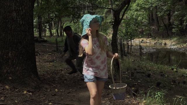 ТАЙНА ГОРОДСКОГО ЛЕСА