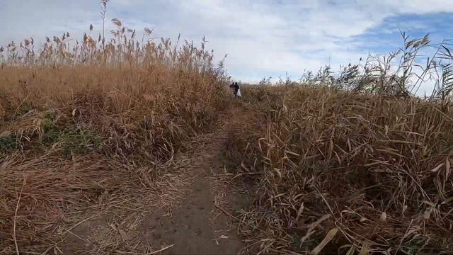 20 ноября 2023 г. ЭКОЛОГИЧЕСКИЙ СУББОТНИК НА СРЕДНЕМ КОНАЛИ ДАГЕСТАН смотреть онлайн