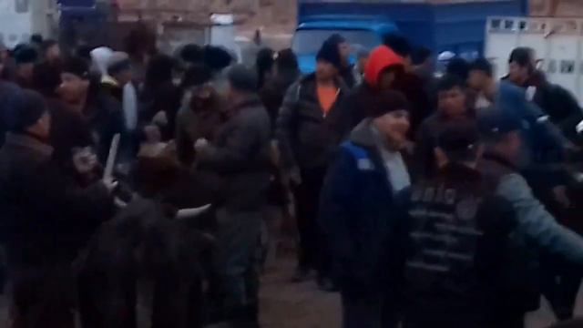 Молбозори Уяли