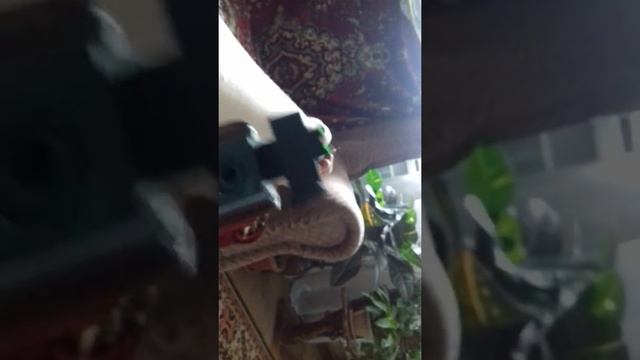 Пневмотическая винтовка Cometa 220