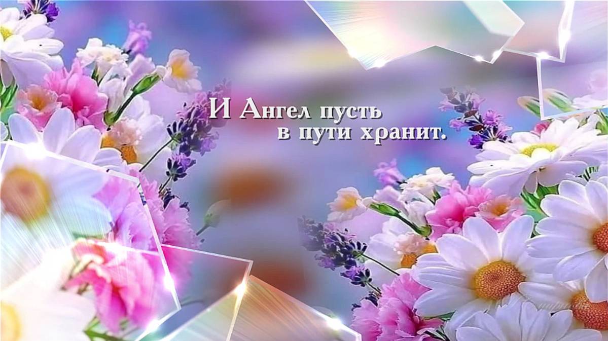 ААЕ Пожелания на день рождения МИАМ - 12 лет