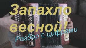 Запахло весной! ( 068 гармонь с цифрами)