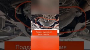 Проверили техническое состояния грузовой ГАЗели