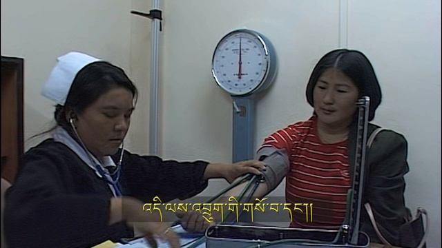 Population and Housing Census of Bhutan смотреть онлайн