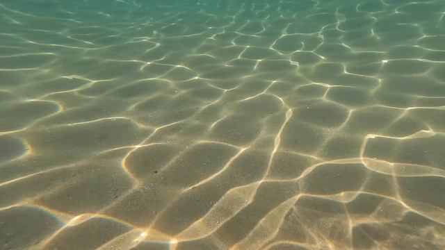 2023 08 03 Крым Новый Свет Подводный мир 02 смотреть онлайн