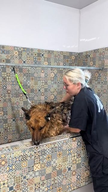 Это самая расслабляющая работа в мире! смотреть онлайн