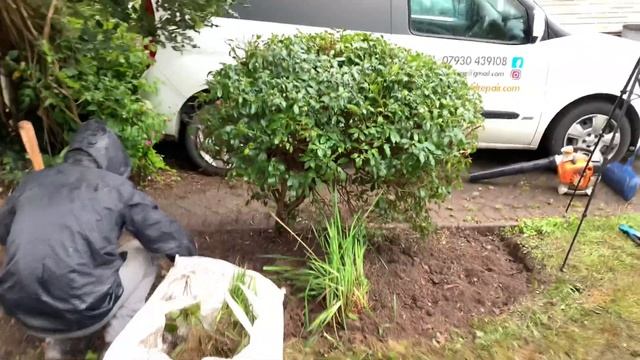 This Homeowner NEEDED Help | Free Overgrown Yard Makeover | Part 5