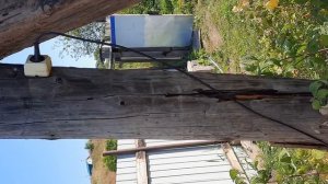 Как использовать погружной насос для полива растений на даче. (1)