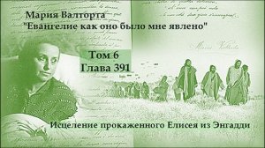 Глава 391. Исцеление прокаженного Елисея из Энгадди