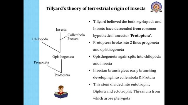 Origin, Distribution and Phylogeny of Insects смотреть онлайн