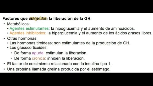 FISIOLOGÍA DEL SISTEMA ENDOCRINO- La Hormona Del Crecimiento (GH)