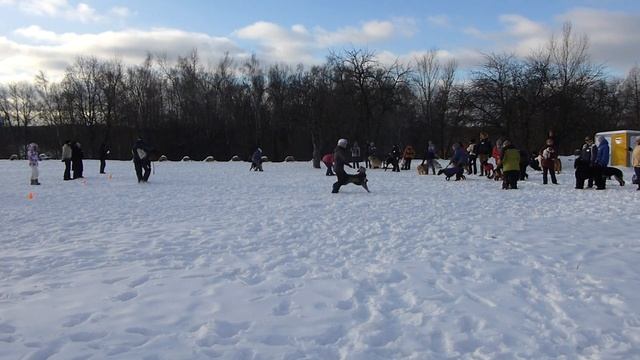 6 Весёлые старты в Орехово 15.12.13 смотреть онлайн