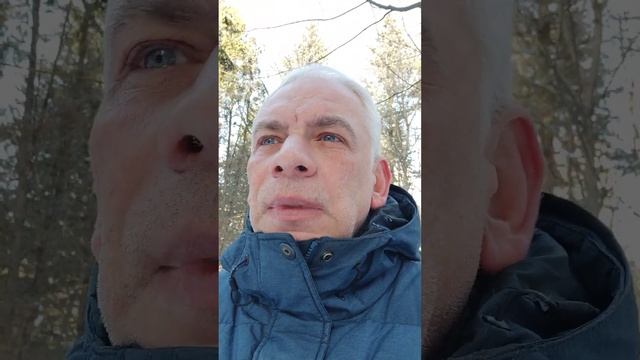 Карп и плотвички смотреть онлайн