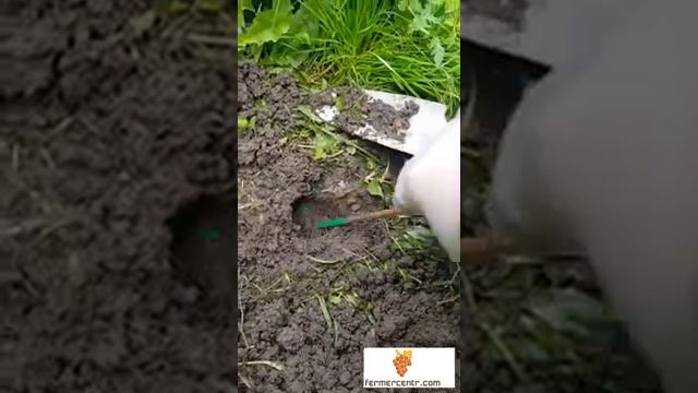 Фумигант Дакфосал против кротов