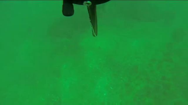 Spearfishing in Black Sea Palamita sarda Пеламида октябрь 2014 смотреть онлайн