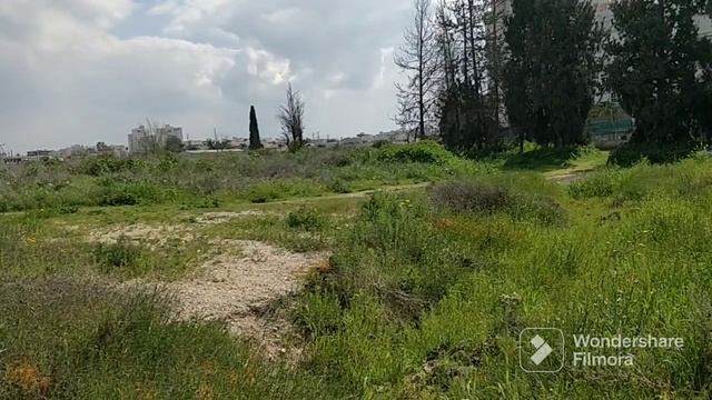 На дальней станции сойду, трава по пояс смотреть онлайн