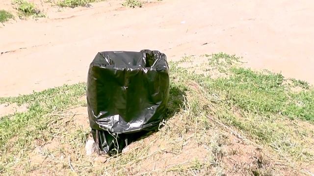 Эко-уборка на Елшанском роднике смотреть онлайн