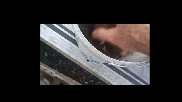 Субстрат-стекловата смотреть онлайн