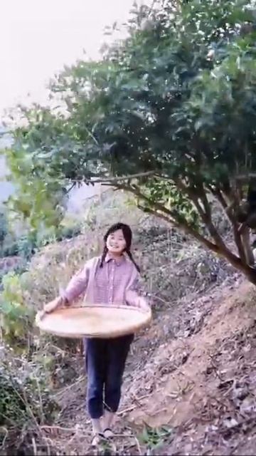 It's Osmanthus Season Again