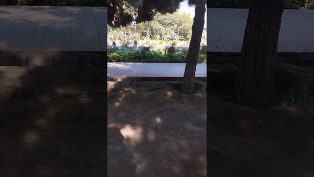 7 августа 2024 г.фуркат боги зур дам оса булади смотреть онлайн