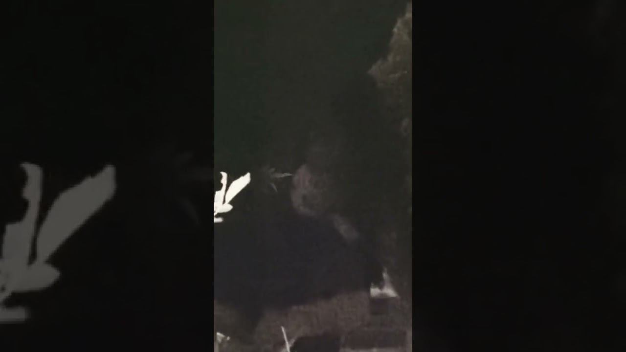 Страшные видео смотреть онлайн