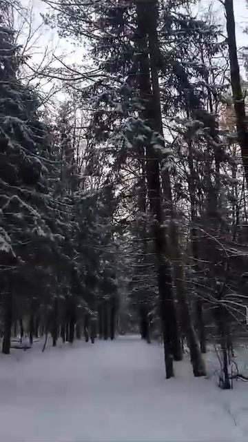 "...чёрный ворон я не твой."(с) смотреть онлайн