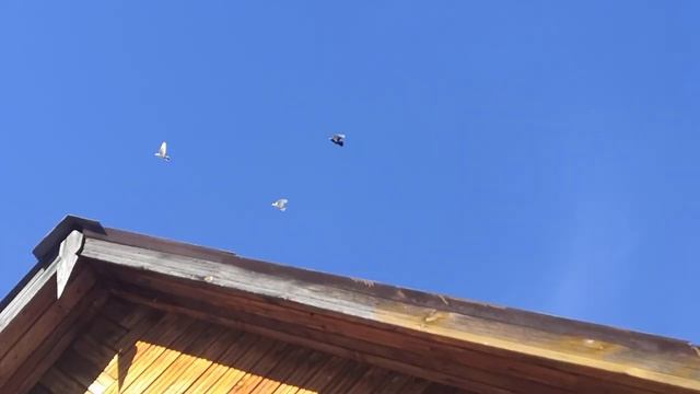 Потихоньку начинаем подготовку сезону смотреть онлайн