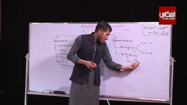 ښوونځی ستاسې په کور کې، د دوولسم ټولګي بيولوژي ــ موټېشن смотреть онлайн