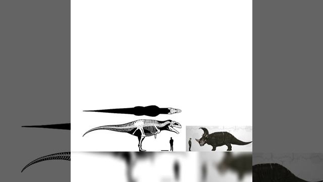Giganotosaurus And Ingen Sinoceratops Size Comparison