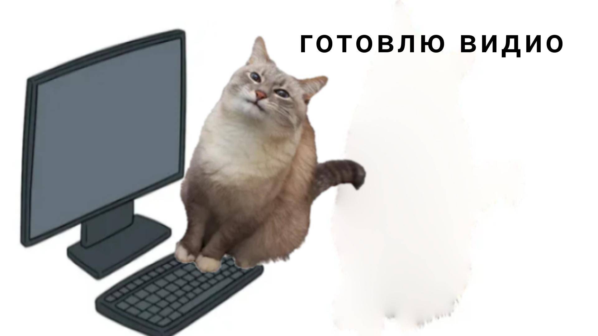 готовлю видос и мемы