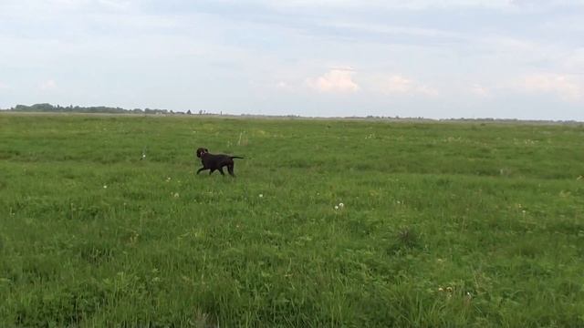первая работа по дупелю смотреть онлайн