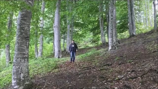 Köpeklere fısıldayan adam смотреть онлайн