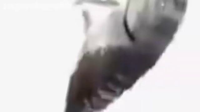 malo lala animation meme ✦ [fw?] смотреть онлайн