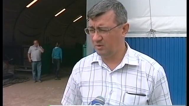 Лошадей выгоняют смотреть онлайн