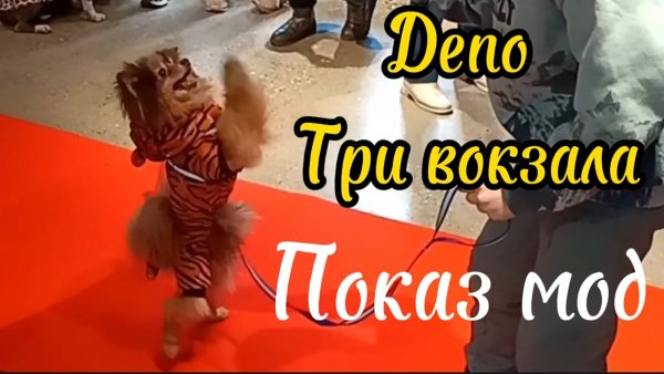 Вечеринка в Депо Три вокзала. Frisky Dog Party