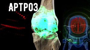 Матрица Гаряева лечения артроза — это гипотетическая концепция, основанная на идеях Петра Гаряева