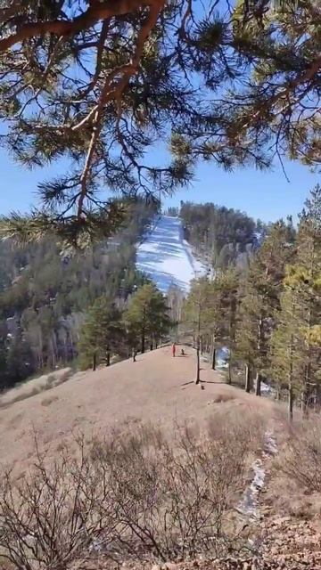 08.04.23 Столбы Восточный вход, Такмак, канатка Бобровый лог #stolby #natureofsiberia #nationalpark