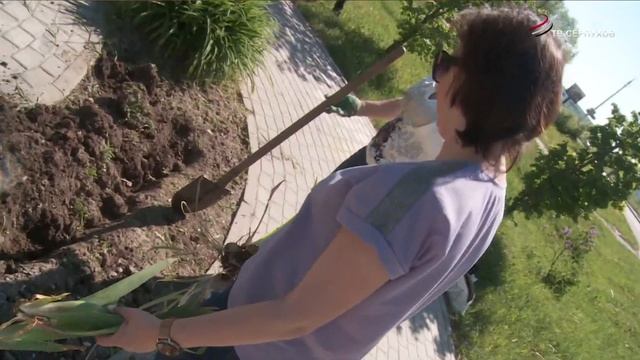 Журналисты Серпухова посадили цветы смотреть онлайн