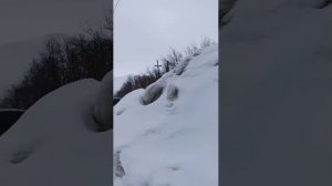 По Коровску