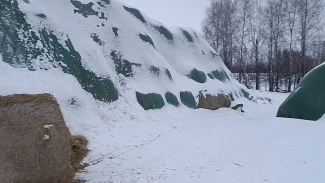 Использование рулонов из-под флиса зимой смотреть онлайн