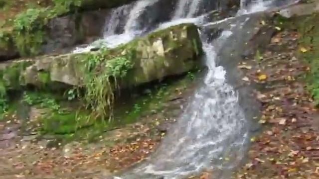 Блогер Ликвор на канале Ликвор . смотреть онлайн