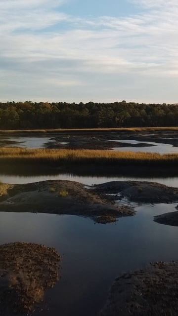 Fisherman’s Paradise #lowcountry #fishing #fish #redfish #shorts #marsh #charleston смотреть онлайн