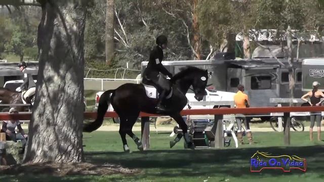 252S Attila Rajnai on Danger Ranger Novice Horse Show Jumping Galway Downs April 2017 смотреть онлайн