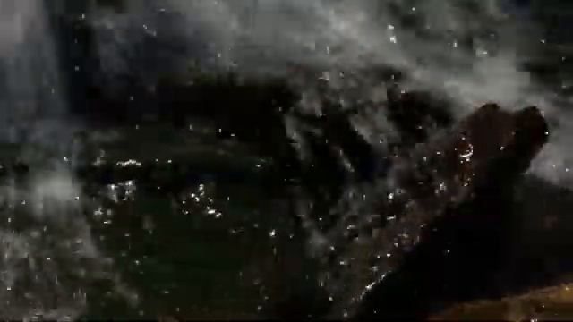 Prairie Yard & Garden: A Country Garden