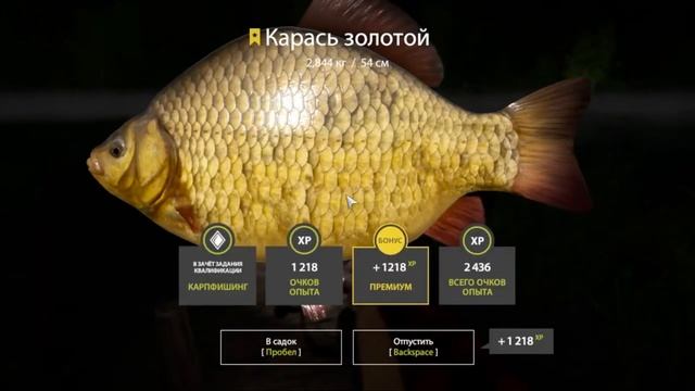 трофейный карась. Оз. Медное