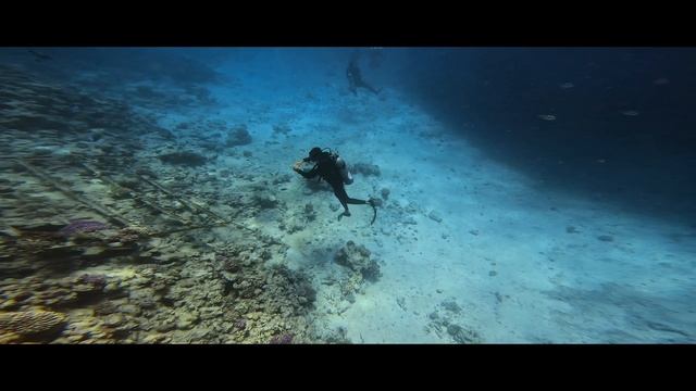 RedSea дайвинг