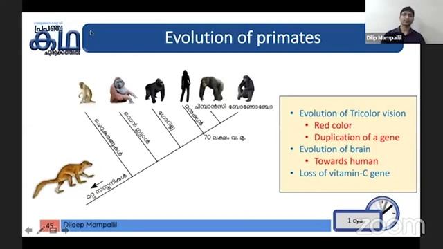 പ്രപഞ്ചകഥ (The STORY of OUR UNIVERSE) Part 3- Dileep Mampallil смотреть онлайн